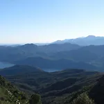 La Genzianella