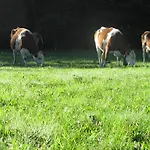 فندق La Genzianella 2*