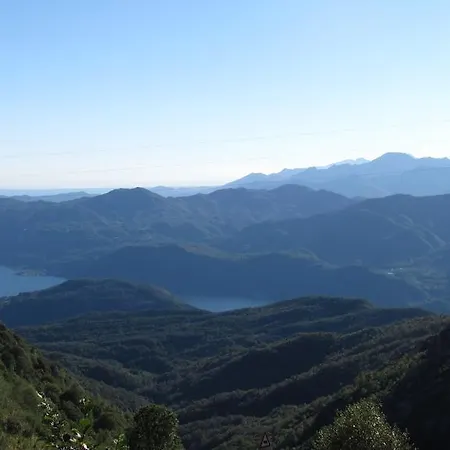 La Genzianella
