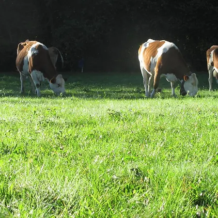 Hotel La Genzianella 2*