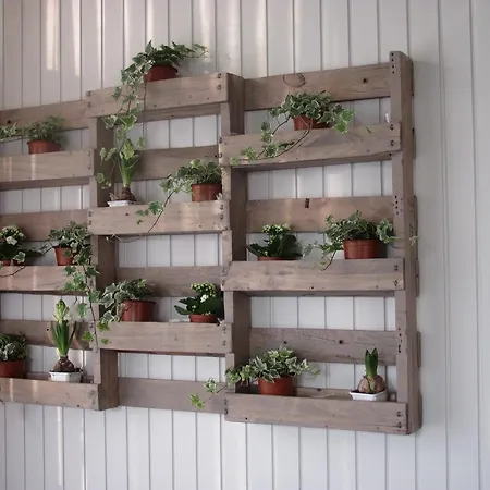 La Genzianella 2* Miasino