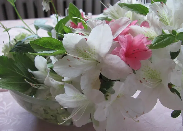 La Genzianella Hotell Miasino