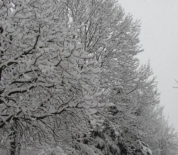 La Genzianella Hotel