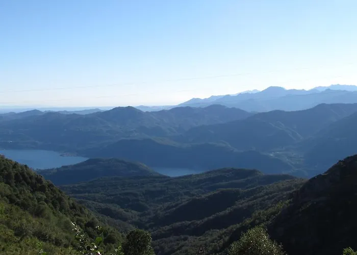 La Genzianella