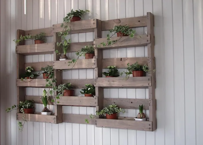 La Genzianella 2* Miasino